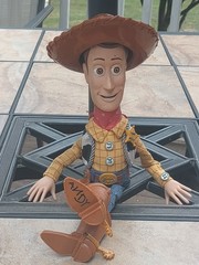 Was $74.90 Now $69.90~ 2002 Pixar Action Figure Woody w/Cloth Legs