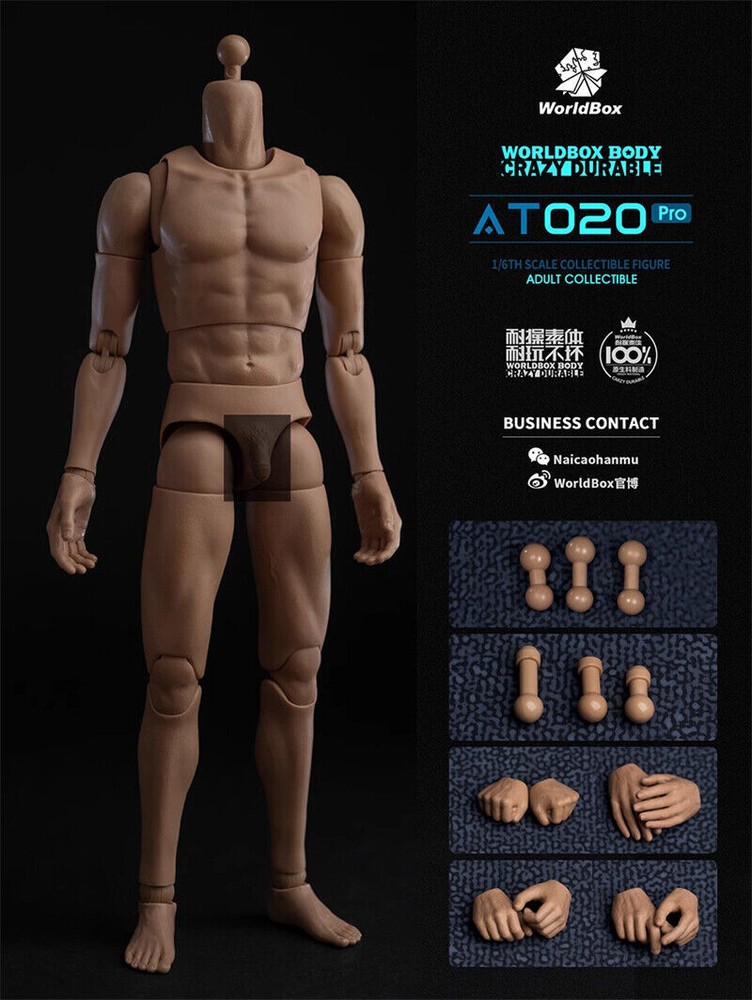 WorldBox 1:6 AT020 Pro Upgraded 12″ Male Muscle Action Figure Toys Body NO Head