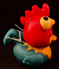 Disney – Hei Hei – Moana – Rubber Duck – Approx 3″ High – Duckalooz