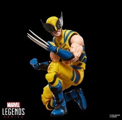 BRAND NEW Hasbro Marvel Legends Series Deadpool & Wolverine 6″ Figure NIB