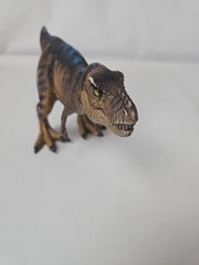 10″ Tyrannosaurus Rex T-Rex Realistic PVC Dinosaur Toy Figure