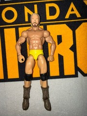 CUSTOM MATTEL ECW Steve Corino ULTIMATE EDITION WWE WWF