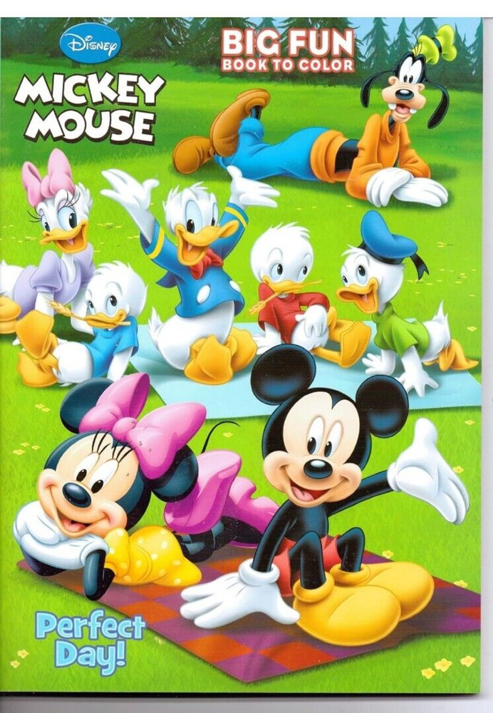 Disney Mickey Mouse and Friends Big Fun coloring Book Perfect Day