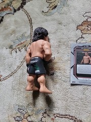 Round 5 URIJAH California Kid FABER UFC Figure W/ Panini Prizm Card Sleved Mint