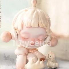 Skullpanda The Warmth Series Figure Blind Box Confirmed Gift Toys