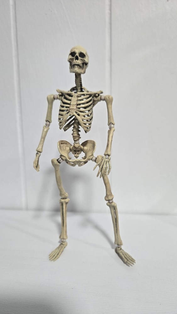 101TOYS NO.ES002 Palm Elf Series Skeleton Body 1/12 Action Figure Collectible
