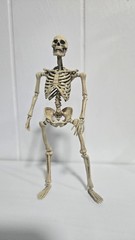 101TOYS NO.ES002 Palm Elf Series Skeleton Body 1/12 Action Figure Collectible