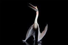 TNG Quetzalcoatlus Model Jurassic Dinosaur Animal Figure Toys Xmas Gift Decor