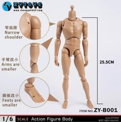 1/6 Scale Narrow Shoulder Male Action Figure B001 Fit HOT TOYS Head Sculpt