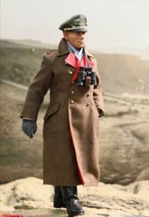 New DID 3R GM651 DAK Afrika Desert Fox Rommel 1/6 Male Soldier Action Figure