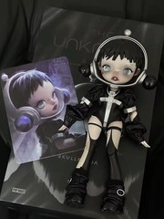 POP MART SKULLPANDA The Unknown 1/6 Collectable Action Figure Doll NEW BJD