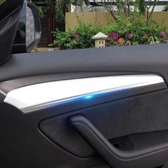Tesla Model 3, Y, Door Panel Molding Trim, Transparent Protective Film Protector