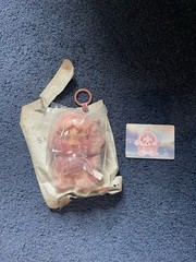 POPMART Skullpanda L’Impresionnisme Blush – Just Unboxed (everything included)