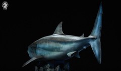 Wanlongtang Megalodon Shark Statue Original Prehistoric Dinosaur Model
