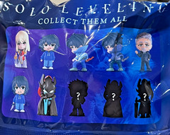 24x SOLO LEVELING BLIND BAG FIGURE SUNG JIN-WOO IGRIS FACTORY SEALED BOX IN HAND