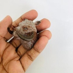Tauntaun and Jerba Heads for 3.75 in & 6 in Figure Diorama (1:18 & 1:12 )