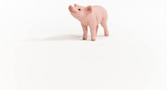 schleich 13934 Piglet, From 3 Years Farm World – Figurine, 6 X 2 X 3 cm new vers