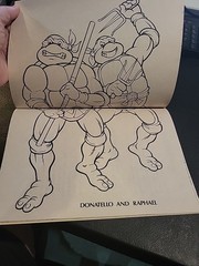Vintage 1990 Meet The TEENAGE MUTANT NINJA TURTLES Coloring Book With Poster