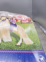 Dreamworks Spirit Riding Free Academy Maricela & Mystery Doll Horse PlaySet NEW!