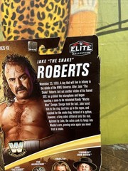 WWE ELITE LEGENDS JAKE THE SNAKE ROBERTS FIGURE WWF NWA WCW ULTIMATE BASIC RETRO
