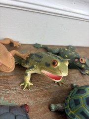 Lot 5 Frog Turtle Life-Like Realistic Plastic Rubber Stretchable Figure Toy