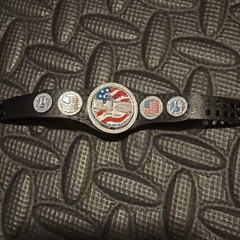 Mattel Elite WWE United States Spinner Championship Title Shiny US John Cena