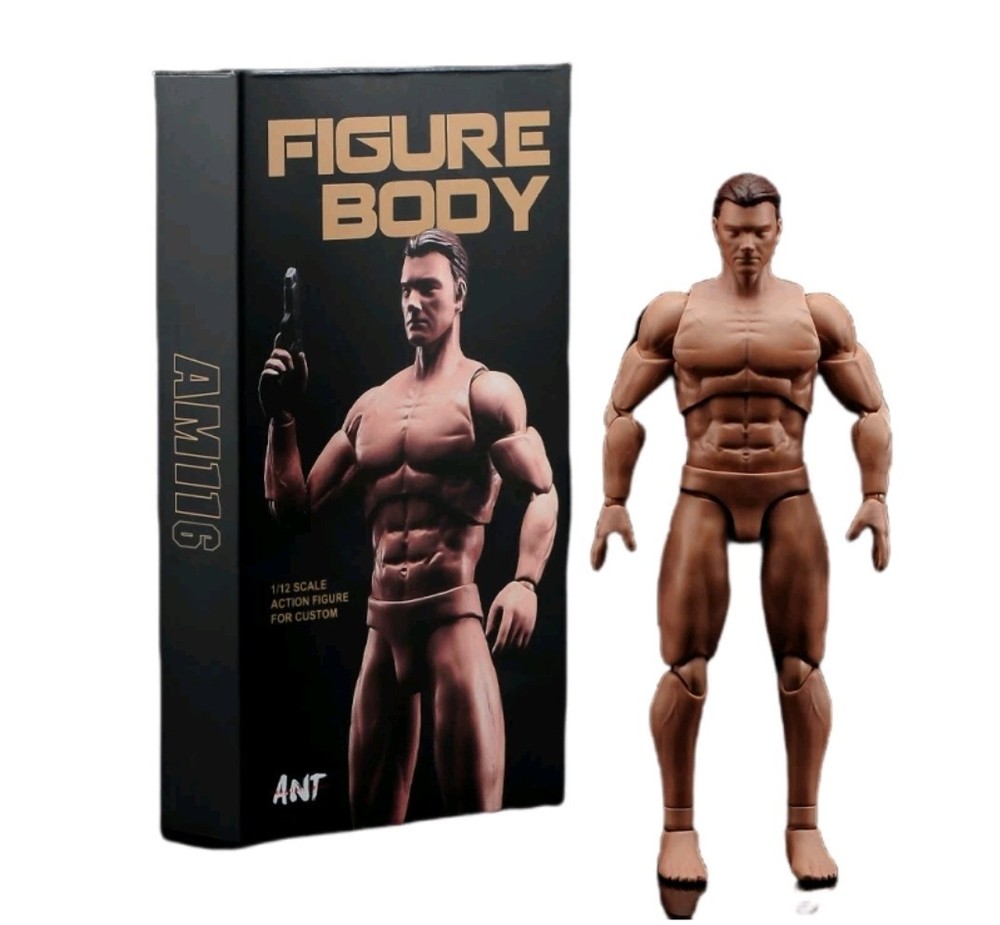 USA Stock ANT 1/12 Flexible Muscular Male Head Body Model Toys 6” Action Figure