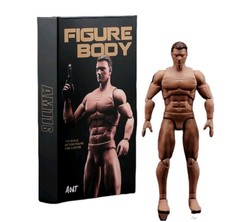 USA Stock ANT 1/12 Flexible Muscular Male Head Body Model Toys 6” Action Figure