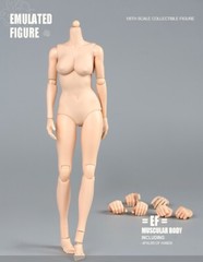 US 1/6 Woman Pale Skin Half-Seamless Female Movable Action Figure Body Model Toy