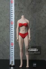 In-stock 1/6 TBLeague Phicen Short Asian Petite S24A S25B Female Body