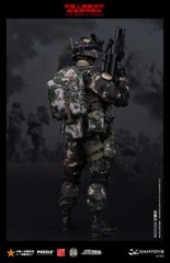DAMTOYS 1/6 78022 PLA Special Force Action Figure