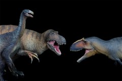PNSO 1/35 Giganotosaurus 17 Model Prehistoric Dinosaur Animal Figure Gift Toys