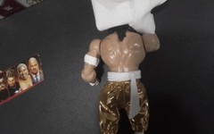 WWE Mattel Ringside From the vault series #2,Defining Moments Paul Heyman Sabu