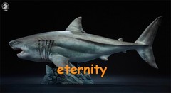 W-Dragon 1/35 Megalodon Prehistoric Shark Dinosaurs Model Statue Toy IN STOCK