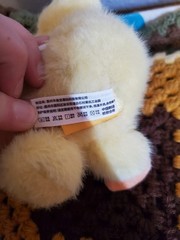 Q.Kid Animal Preschool Duck Kid