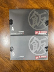 SH Figuarts Future Gohan Hero Outfit HA Toys HAZ003 A & B HM Custom NEW DBZ