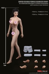 TBLeague Phicen Female Seamless Medium Breast Suntan Body w/ Head 1/12 FIGURE