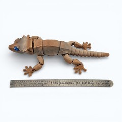 Lot 5 Articulated Crested Gecko Toy Mini 3D Printed Lizard Fidget Desk Pet- 6.3″