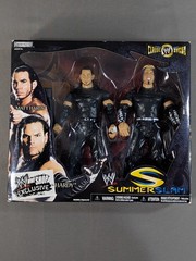 WWE Shop Exclusive Summer Slam Classic Superstars Matt Hardy Jeff Hardy Figures