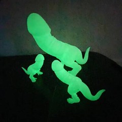 Glow In The Dark! Dino-Dick Dickasaurus Rex Bachelorette Party Gift Funny Prank 