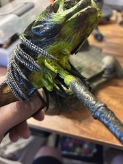 1/6 Scale Custom Trophy Predalien Head