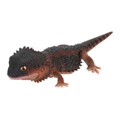 Creature Encyclopedia Japanese Gecko & Bearded Dragon Set of 5 Bandai Gashapon