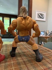Lot of 8 Wrestling Figures WWE – Jakks Giants, Action Figures, Thumb Wrestler