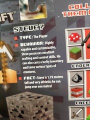 New! Minecraft Overworld “Steve?” Series 1 (Ages 6+)