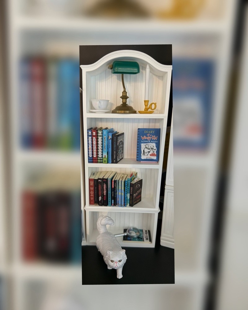 Mini BookShelf For mini Books Mini Brands