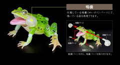 Black-spotted Pond Frog Figure Set of 4 Bandai Creature Encyclopedia Capsule Toy