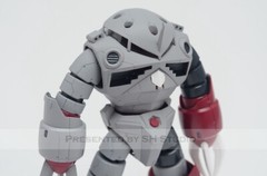 SH STUDIO 1/100 MSM-07 Z’Gok Conversion Kit