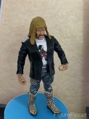 Jakks Pacific Classic Superstars WWE Jesse Ventura Series 25 Loose Chase