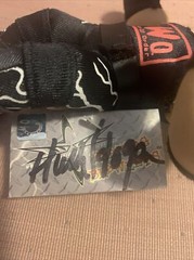 Hulk Hogan Sugned NWO Doll mwmt limited editon Numbered WWE WWF Hollywood Hogan