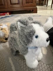 Lot of AG Doll Dogs and Cats